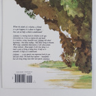 Bryan Mellonie : Lifetimes - The Beautiful Way to Explain... - pikkukuva 2
