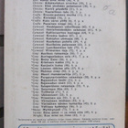 A. E. V. Mason: Myrkkynuoli, Wsoy 1958. 5p. 356 s. - pikkukuva 2