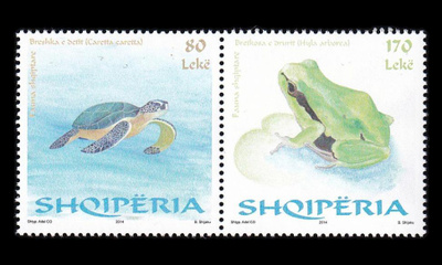 Albania 3461-2p ** Eläimiä kilpikonna sammakko (2014)