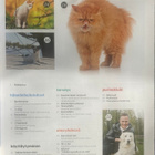 REVIIRI LEHTI 2/2012, KESÄNUMERO - pikkukuva 2
